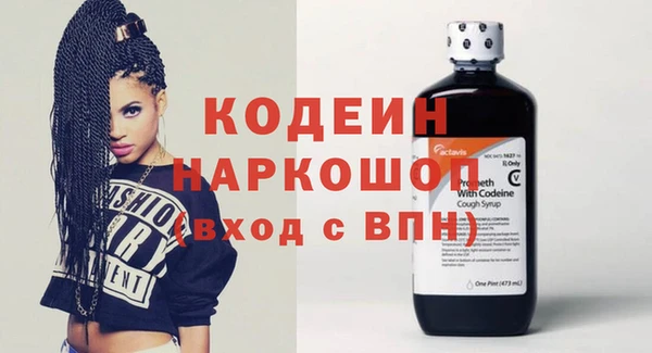 эйфоретик Няндома