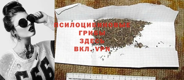 ешки Аркадак