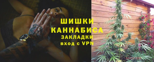 ГАЛЛЮЦИНОГЕННЫЕ ГРИБЫ Баксан